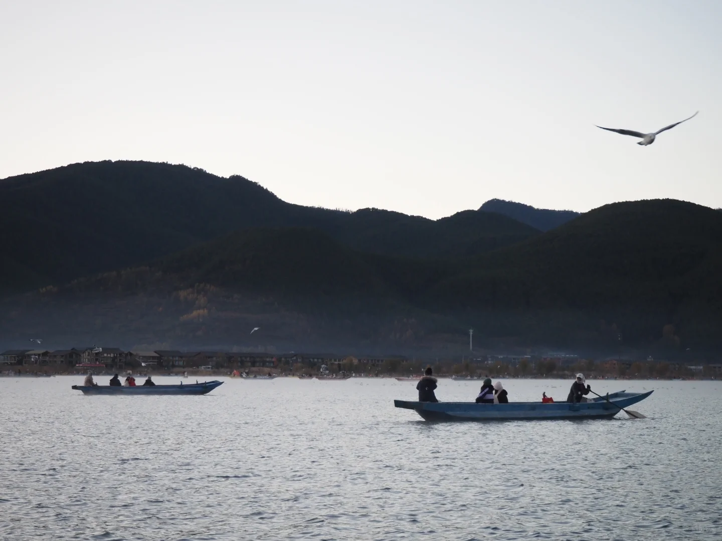 泸沽湖｜看晨雾🌁我拍了湖光映水色