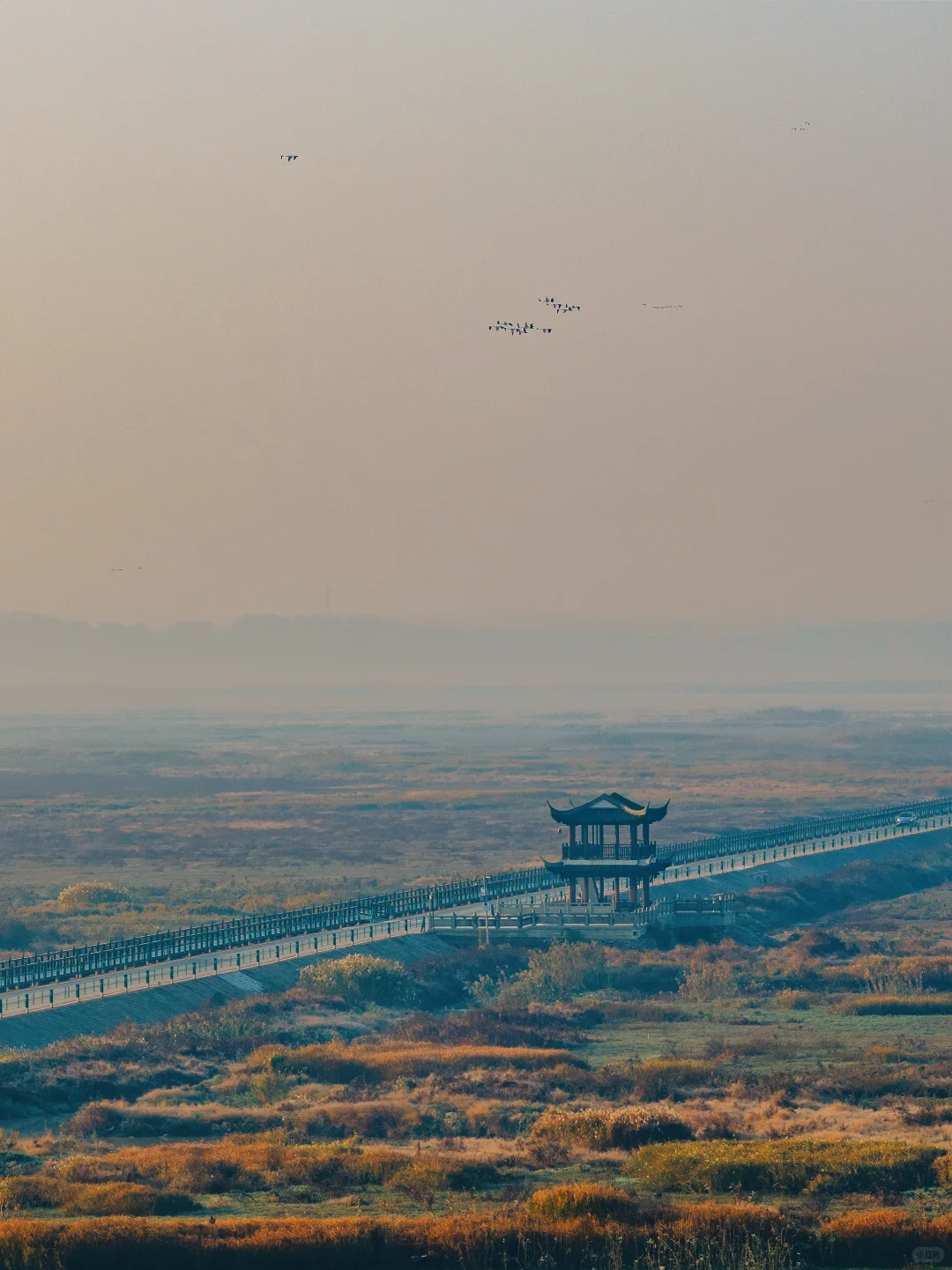 武汉出发2小时，我今年最偏爱的小镇出现了