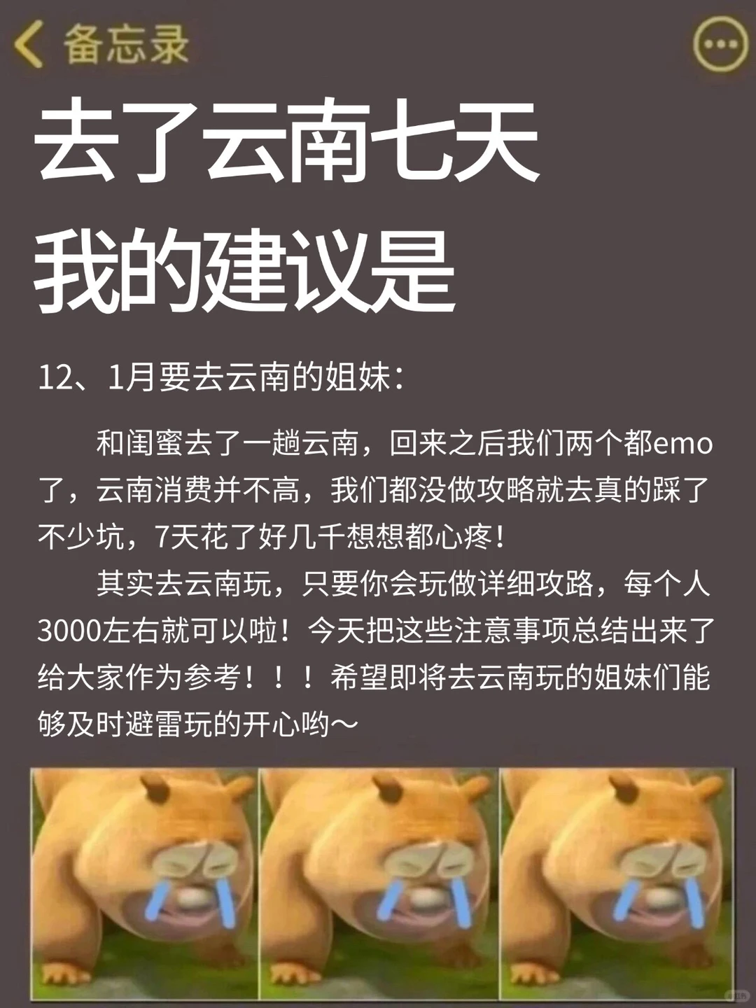 去了云南7天❗❗总结的保姆级旅游攻略