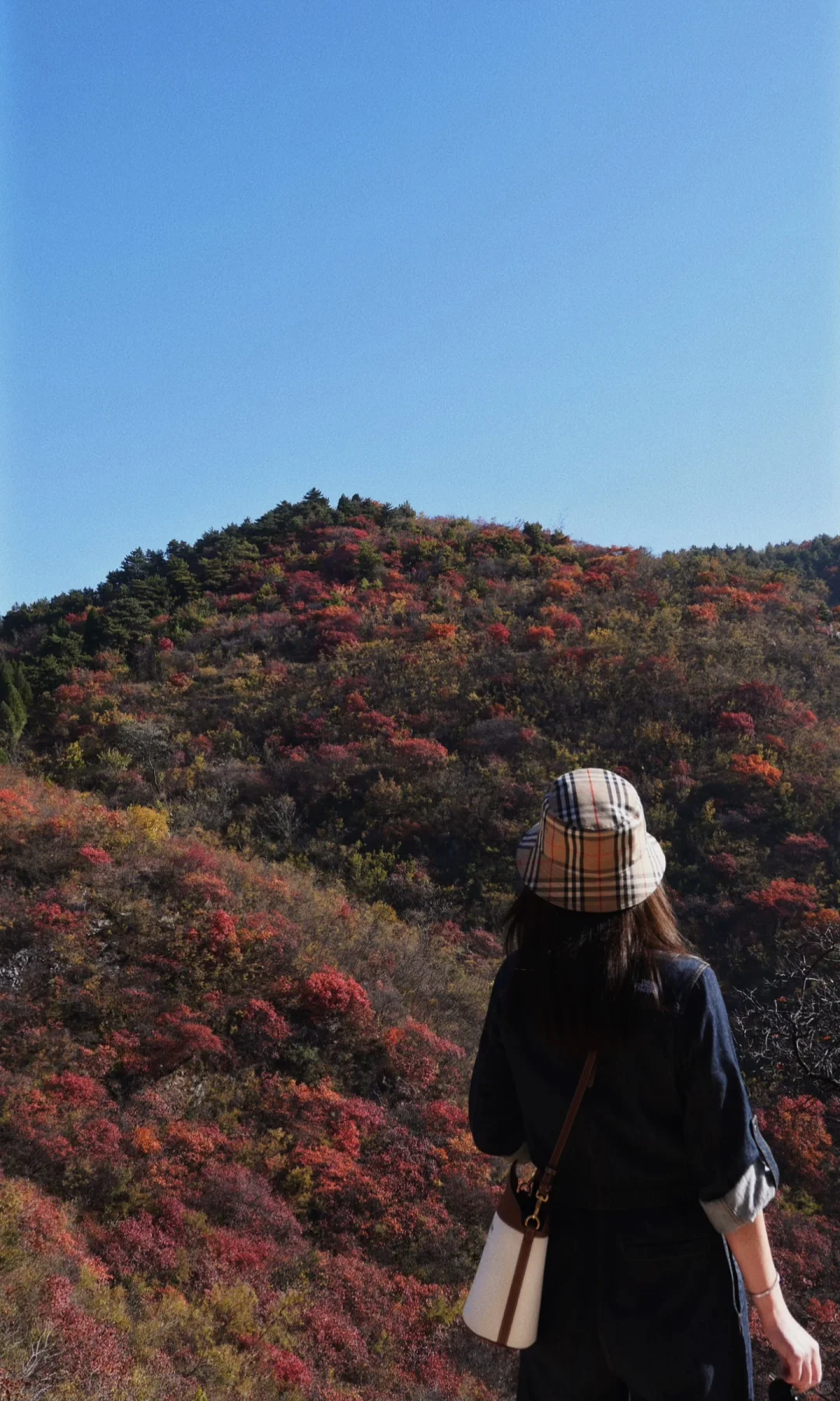 石家庄｜最美红叶观赏路线