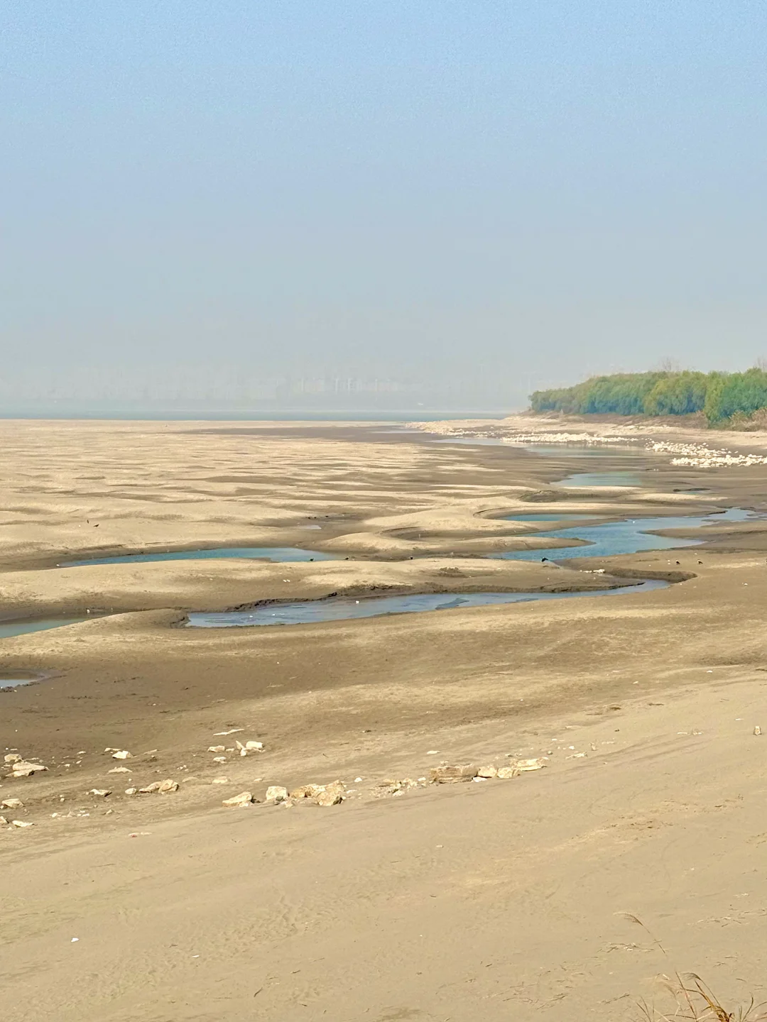 小岛秋天|龙鳞沙滩看实况图有落叶,江风声