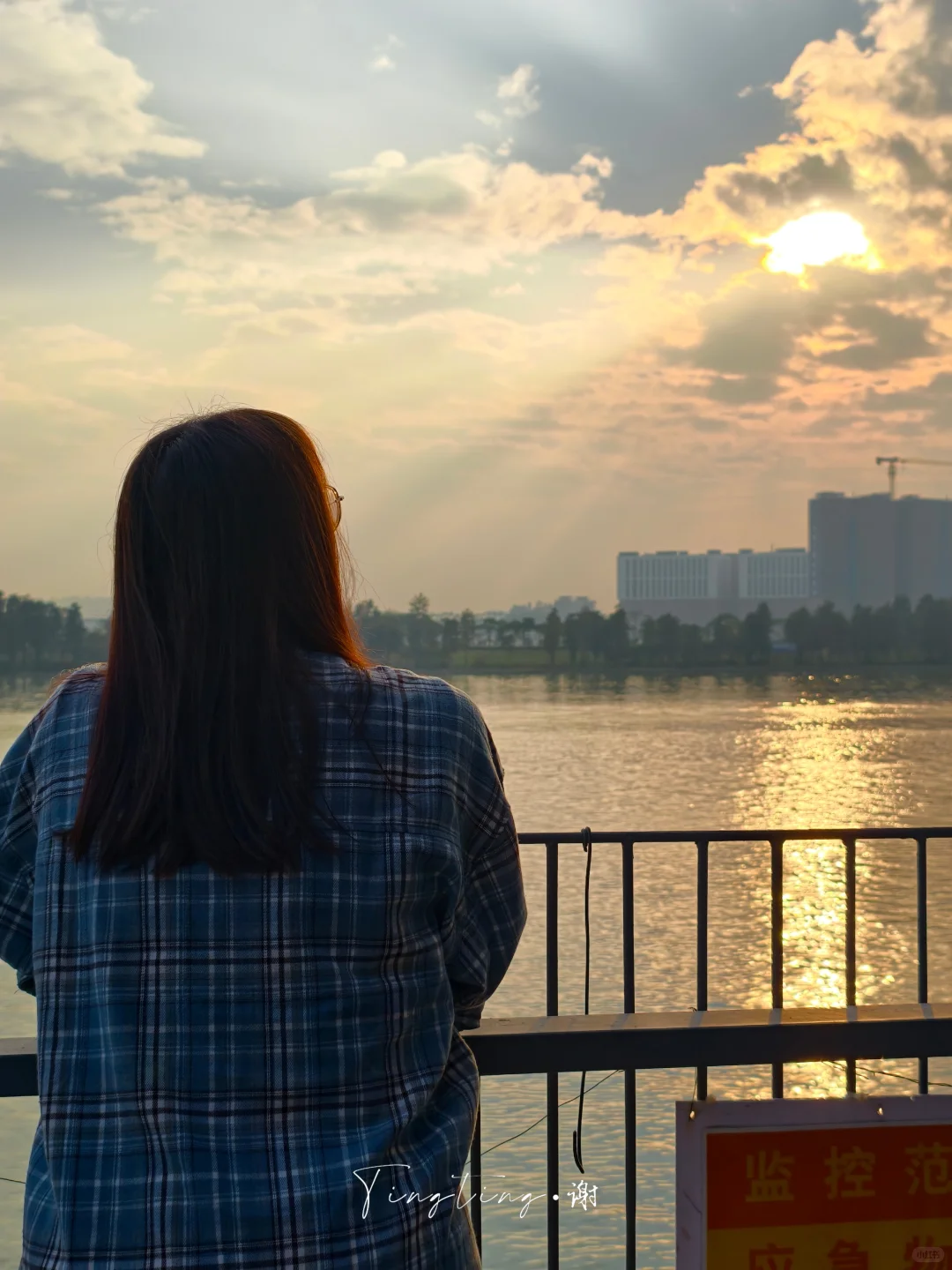 🌺花都开好了。