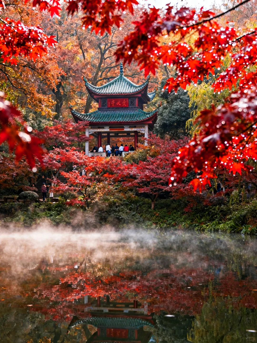 岳麓山的枫,是把杜牧的诗烧着了啊