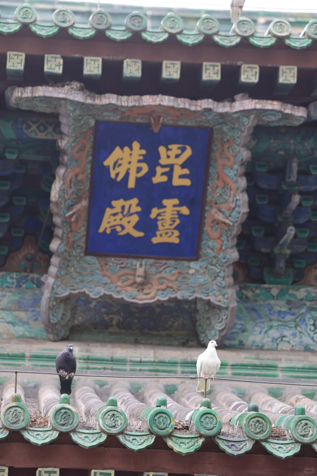 一张图看懂石家庄有哪些好玩？不是旅游荒漠