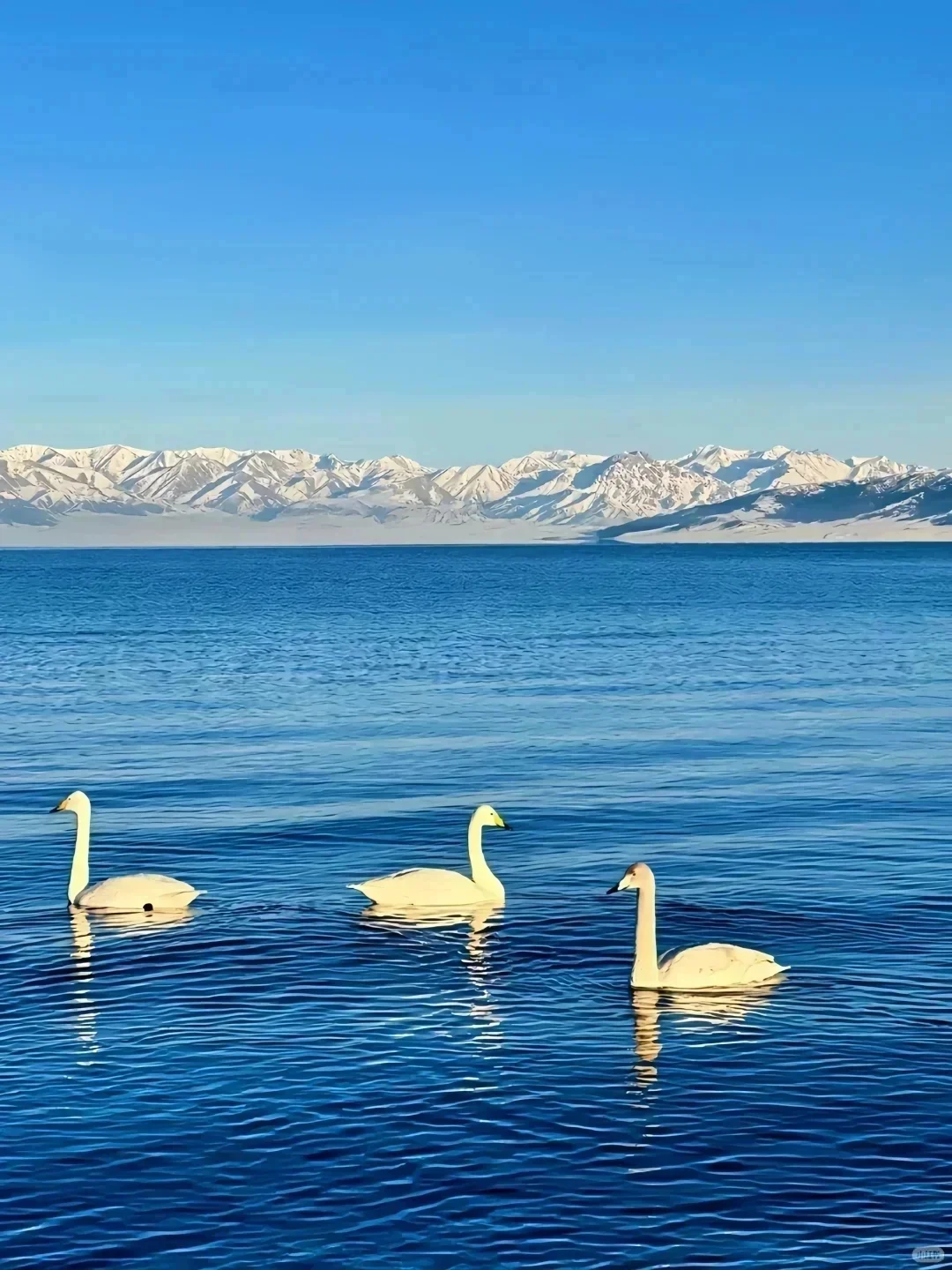 12.8赛里木湖崩溃,真心建议后面来的。。