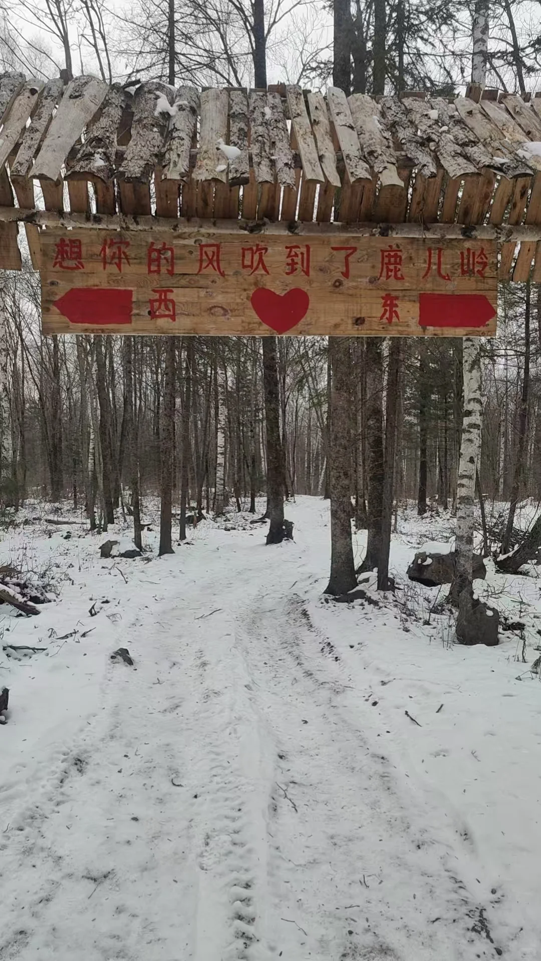 国外友人来咱们鹿儿岭打卡啦