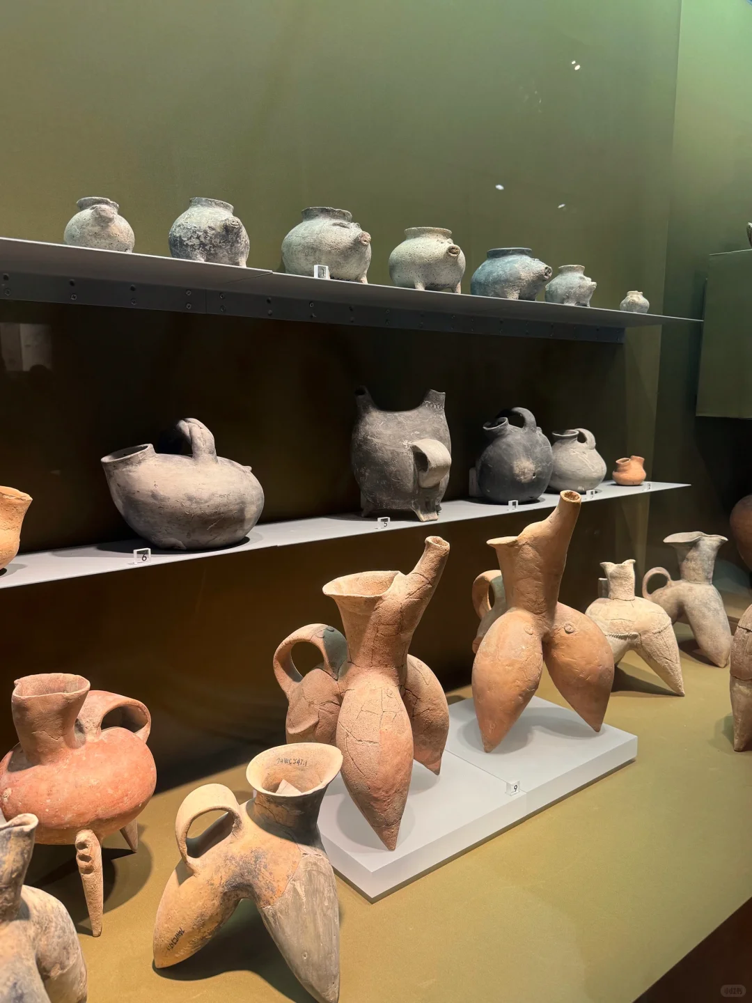 沈阳-南京-扬州人均2000攻略（南京篇）