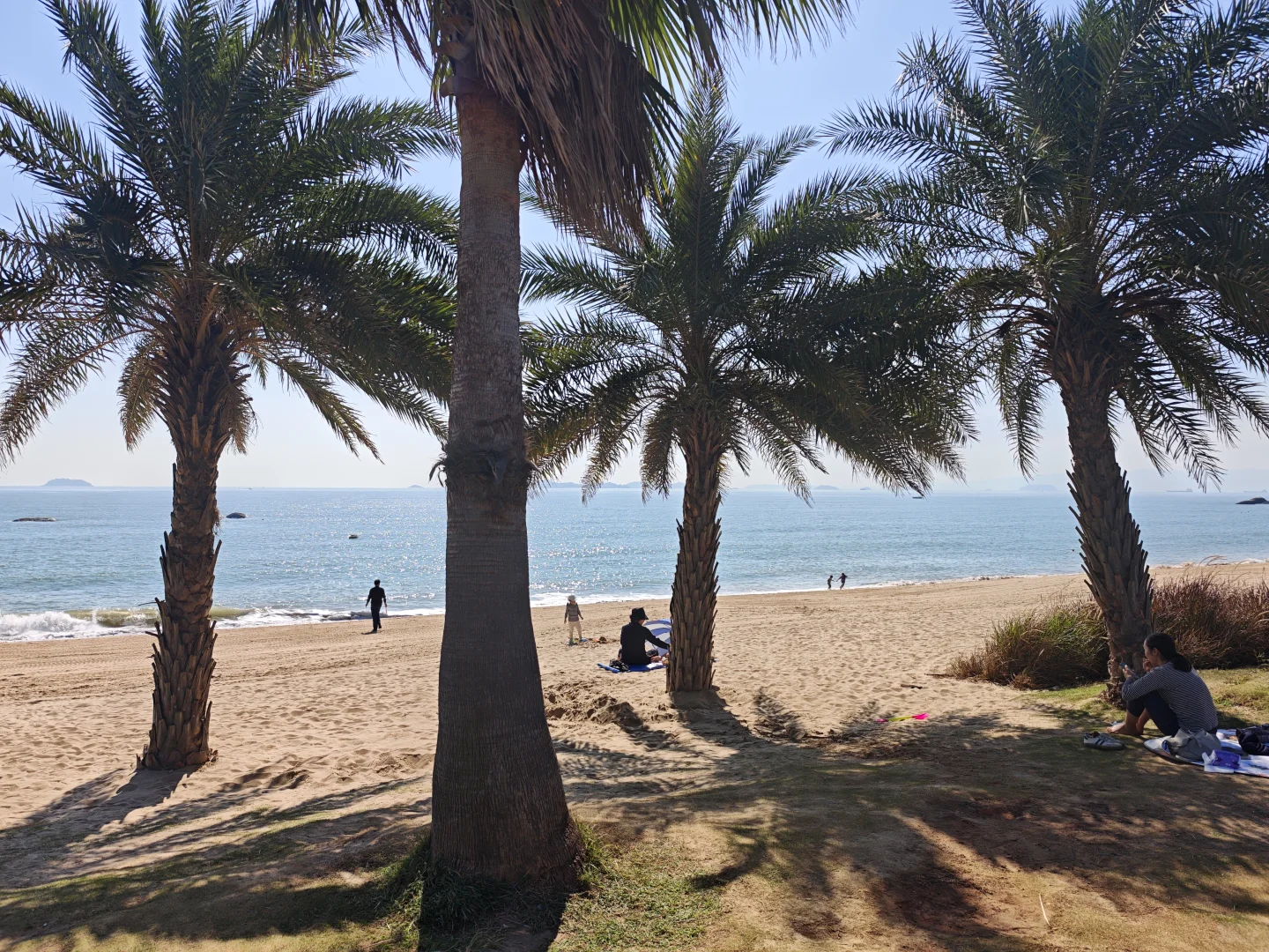 请大数据推给12月要来厦门的朋友