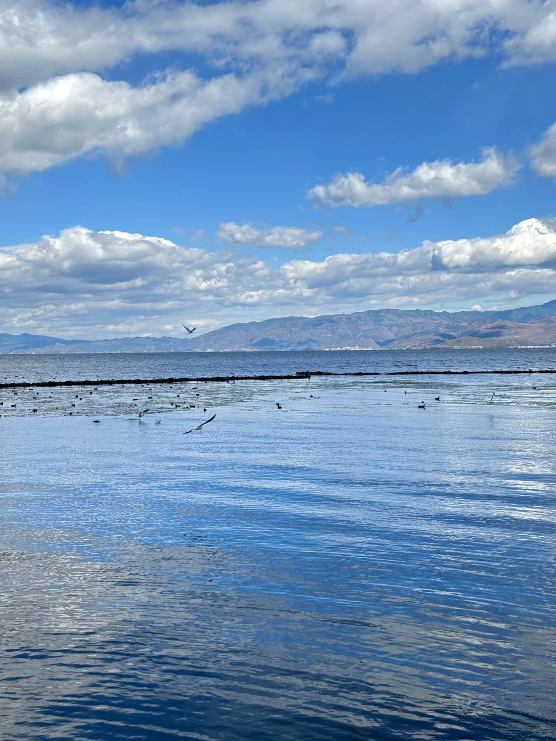大理——苍山洱海🏔️