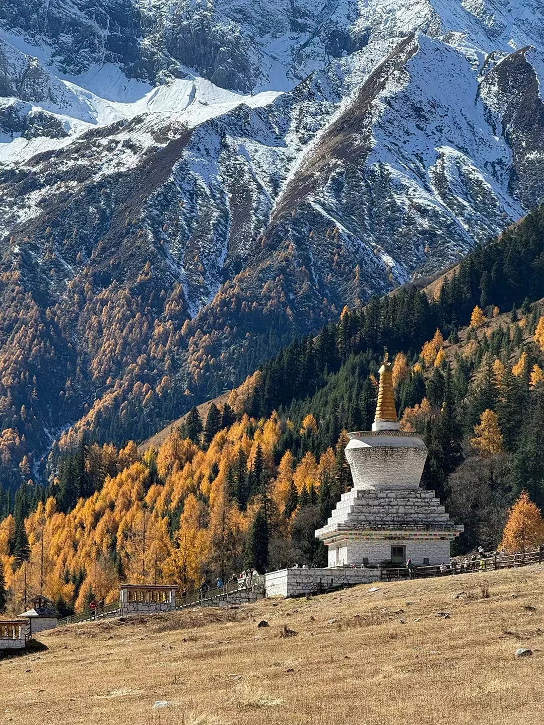 11.10📍四姑娘山已回，真心提醒要去的姐妹们