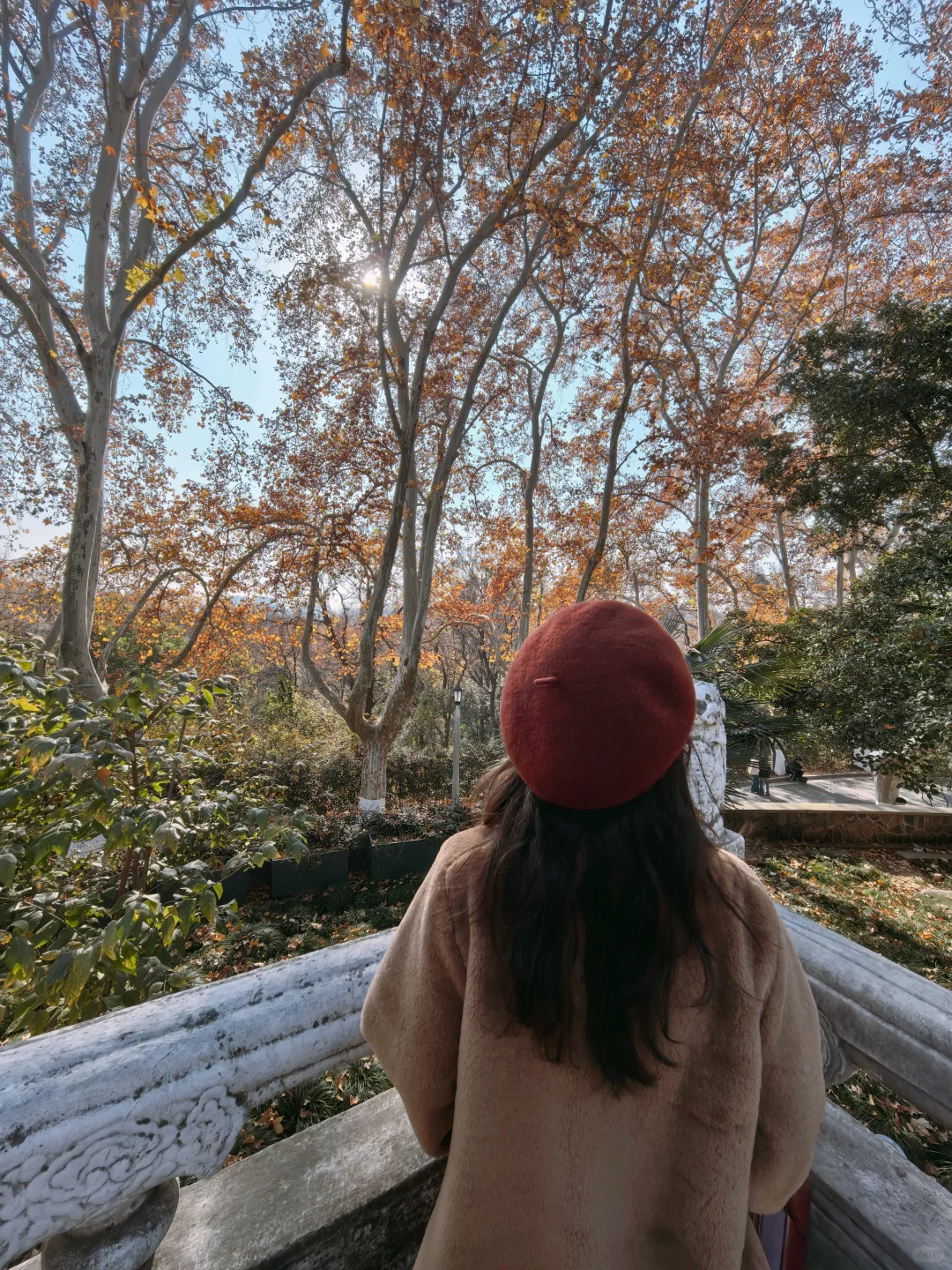 ✌️八小时暴走南京的秋游精华攻略🍁