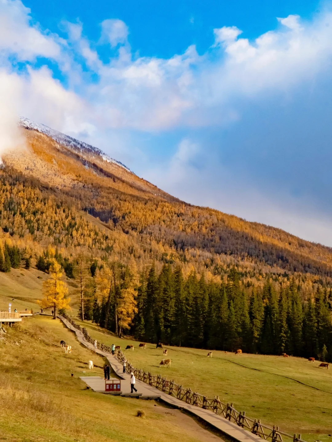 听劝！10-12月去南疆必去的9大景点详细攻略