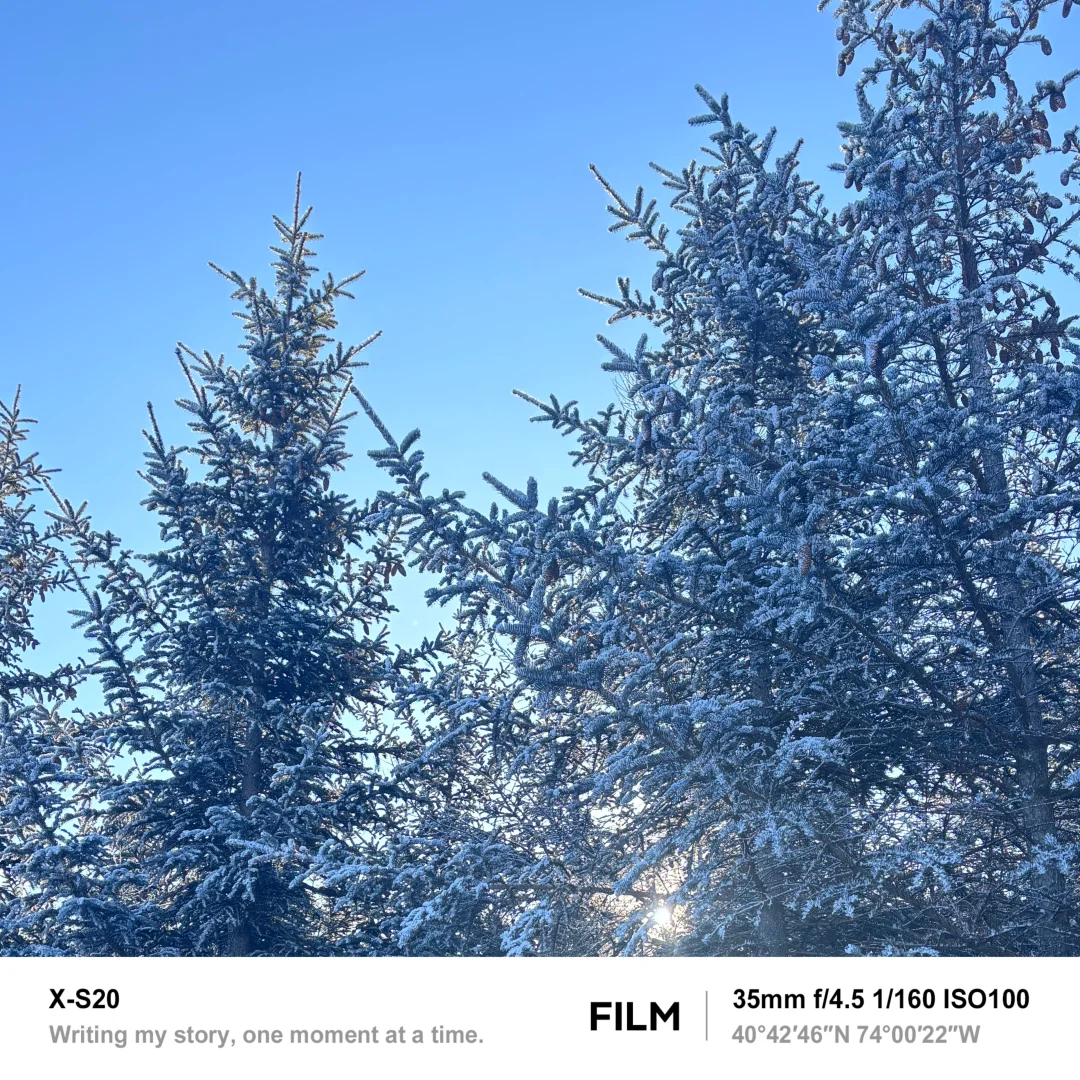 北京最近的林海雪原！桦皮岭可冲！