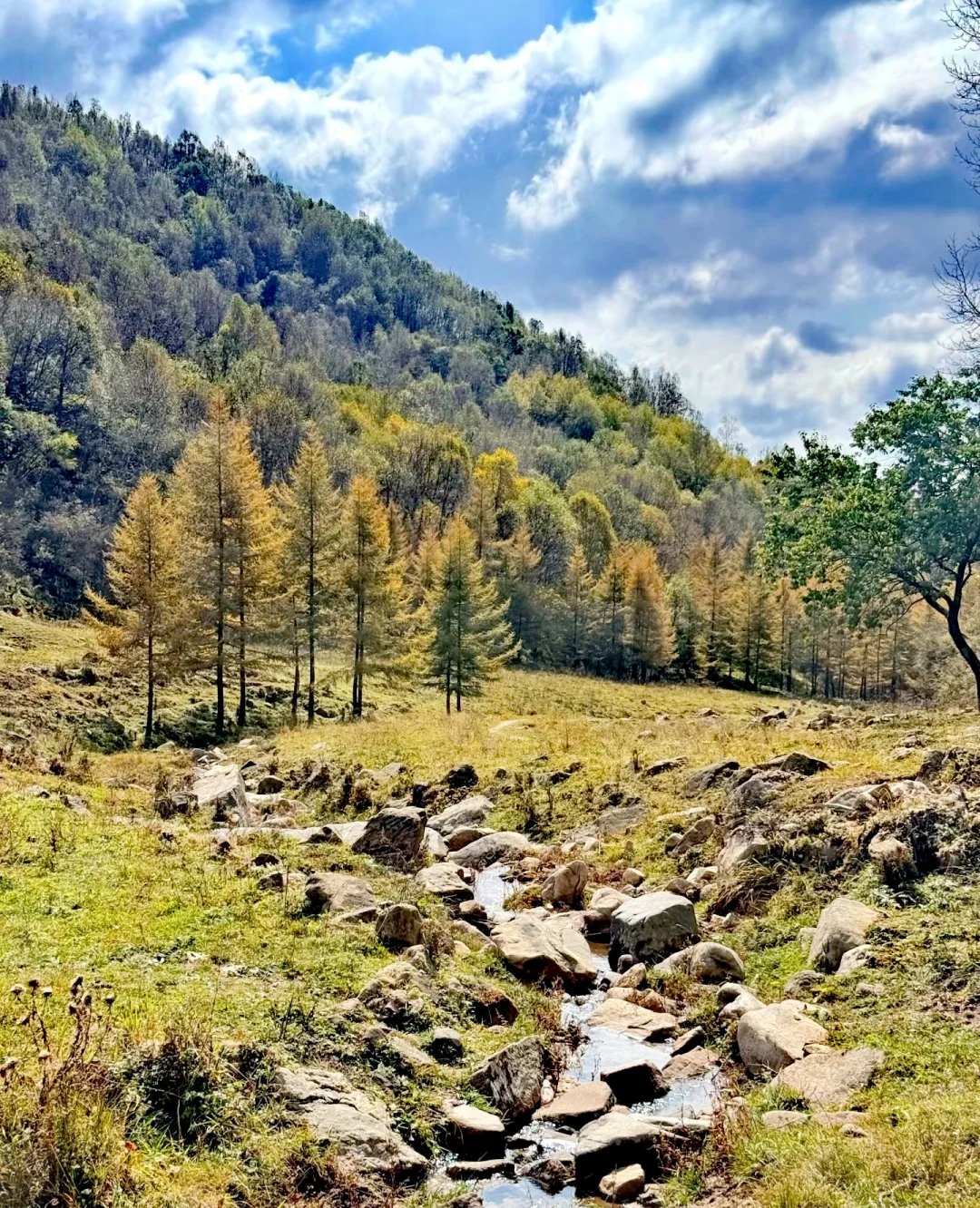 石家庄|没去新疆阿勒泰，被这里美哭了！