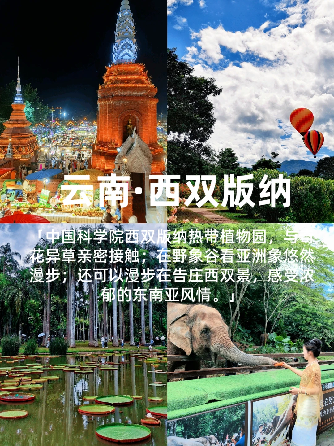 冬季反向旅游🌷🌷这些城市避寒简直绝了