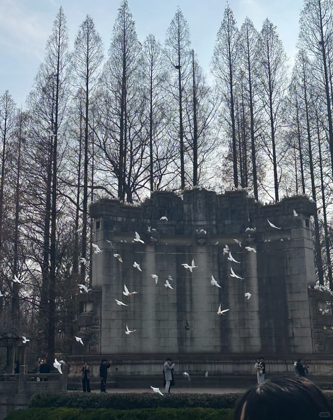 沈阳-南京-扬州人均2000攻略（南京篇）