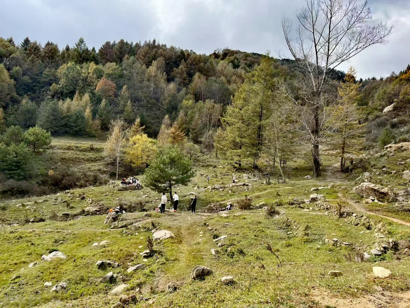 石家庄|没去新疆阿勒泰，被这里美哭了！