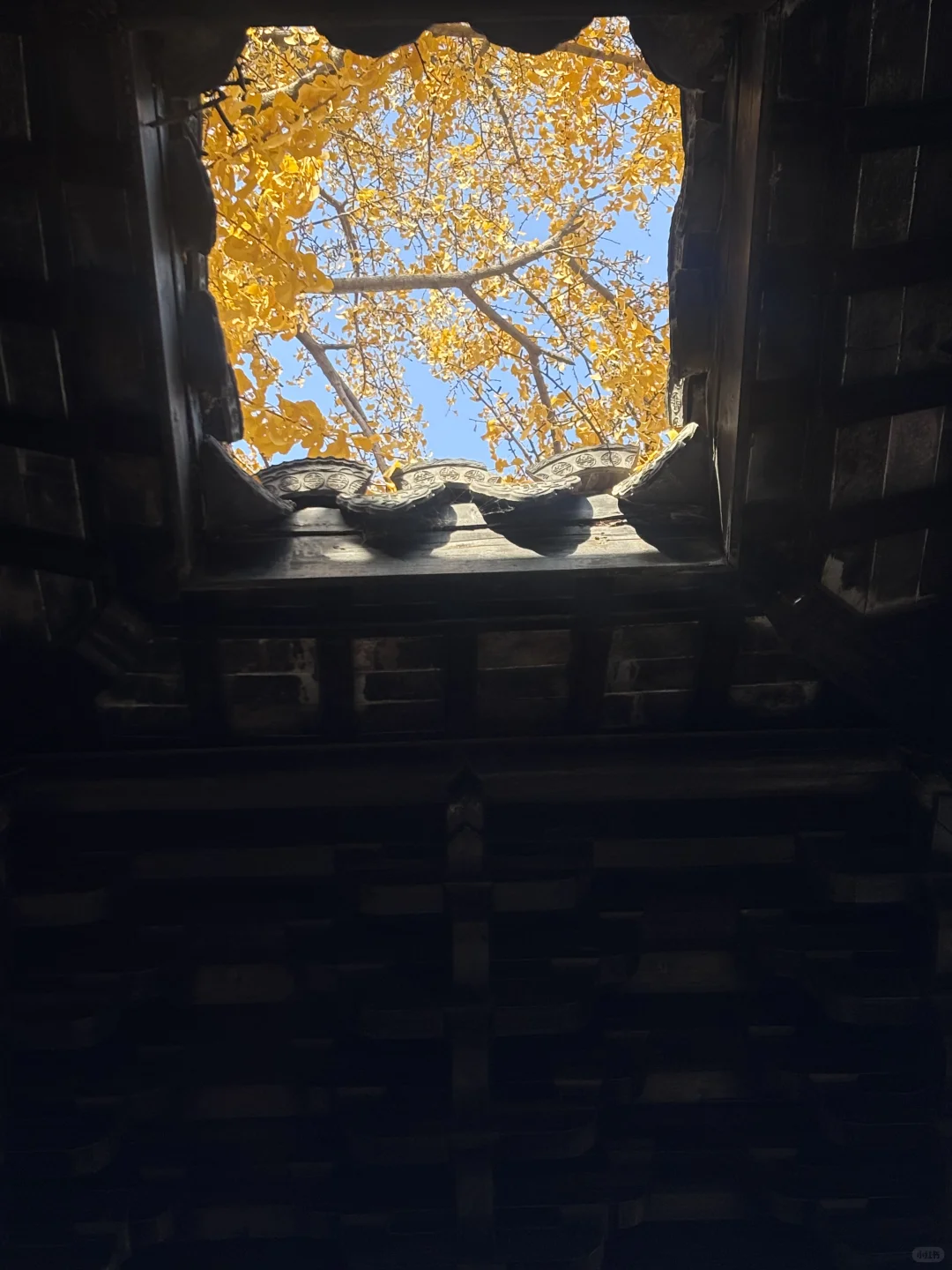 来惠山古镇寻秋