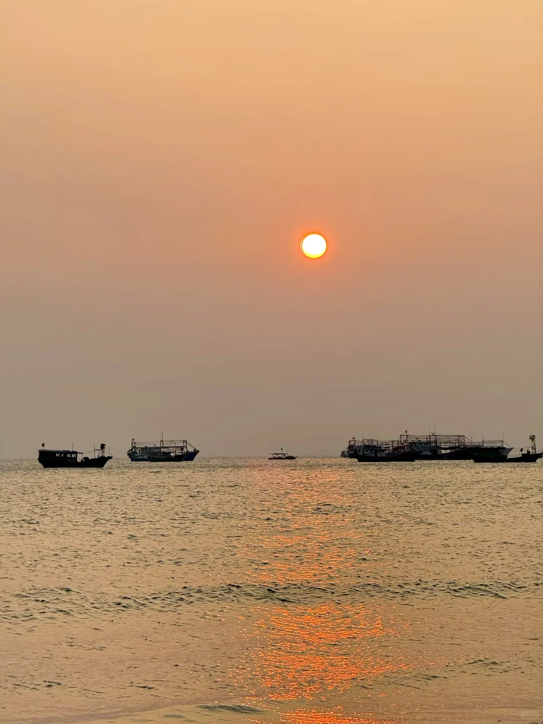 船在林中走，人在画里游