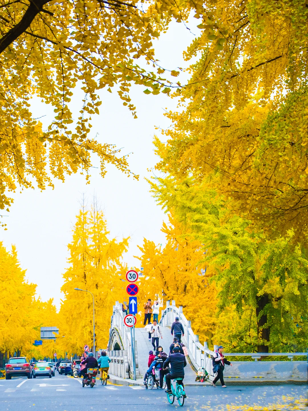 原来成都封神的秋景都是免费的。。。。附地址