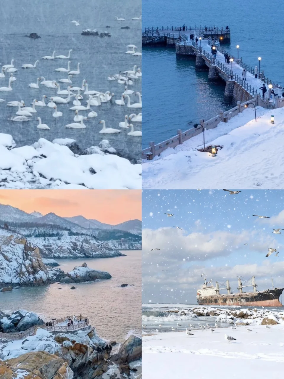 计划今年来威海看雪！这份攻略请收好👌🏻