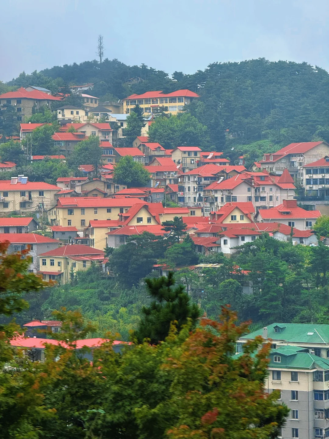 只缘身在此山中