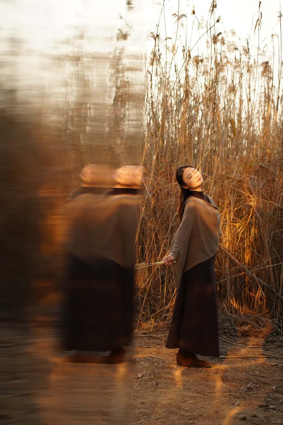 有一种美，叫岳阳的芦苇