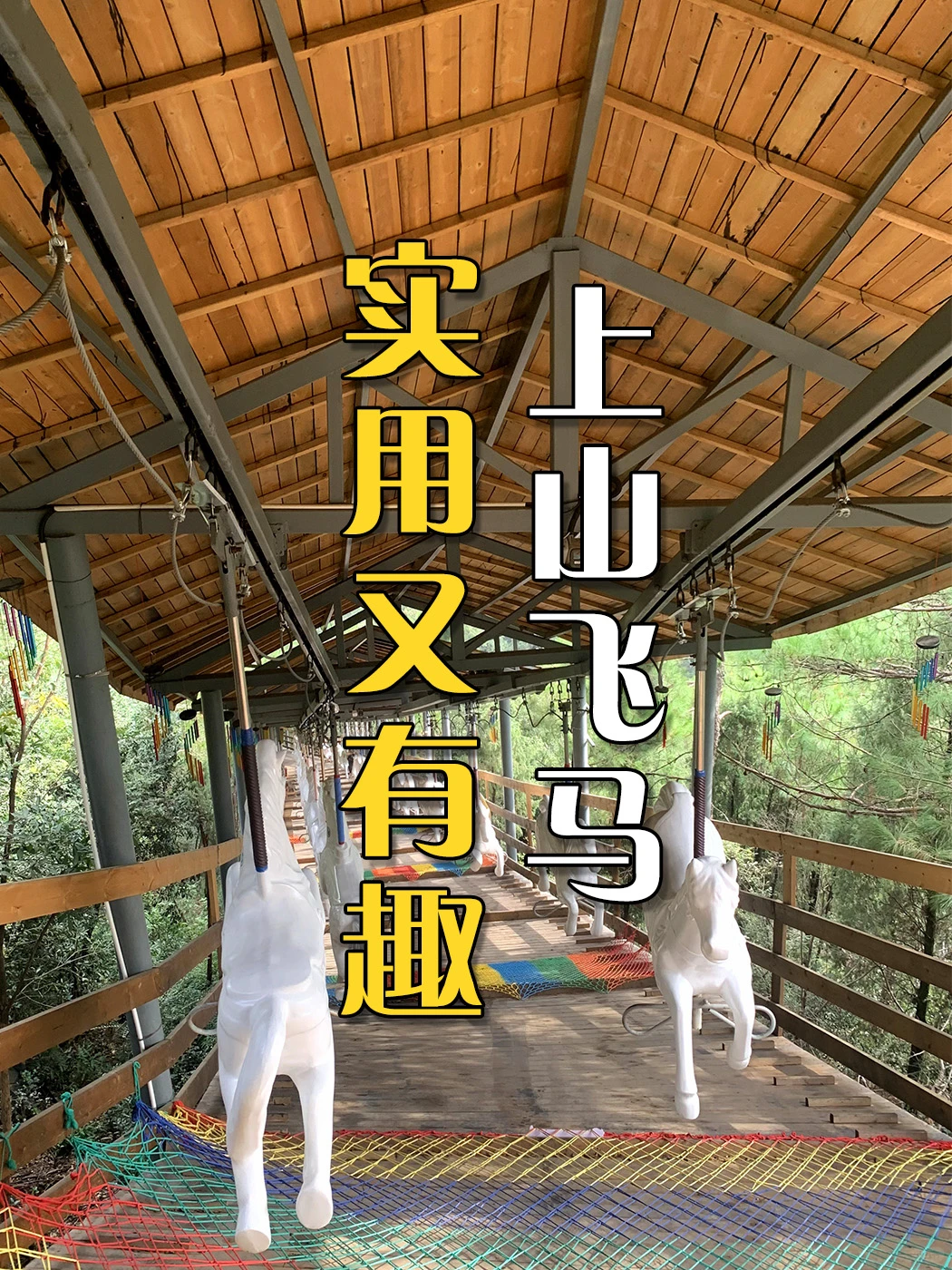 🐎上山飞马｜实用又有趣