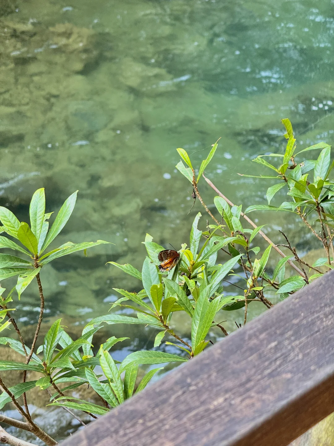 12.1实况！！淡季的小七孔简直人间理想！