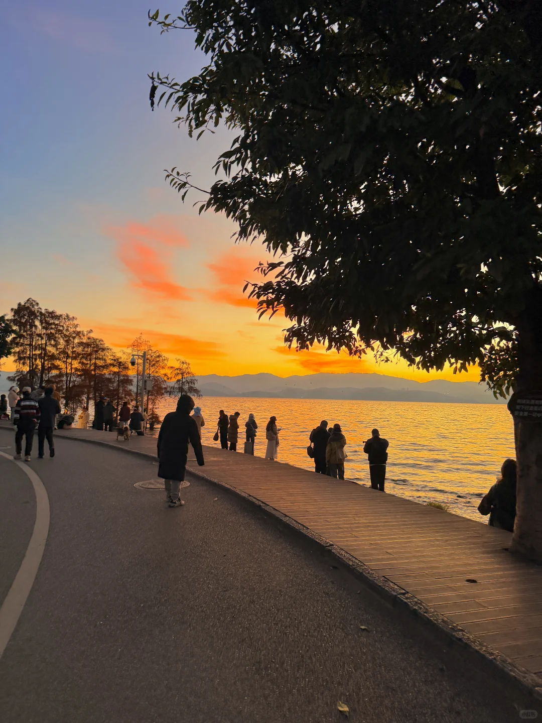 live实况🕊️今天的大理！！！杀疯了！！！！！！！！