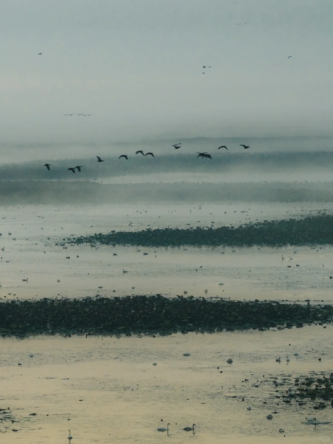 武汉出发2小时,我今年最偏爱的小镇出现了