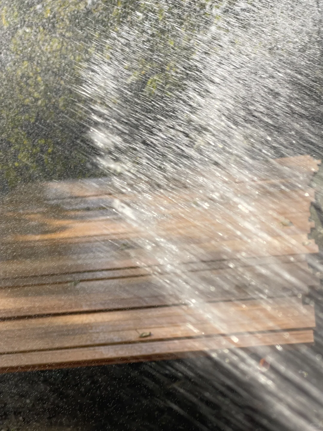 古镇偶遇金像奖得主 ｜ 你小子不适合做地板