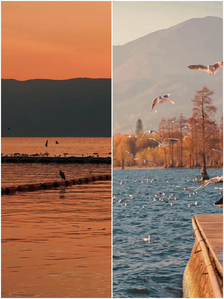 💰68玩转大理7大景点❗送丽江旅拍体验❗