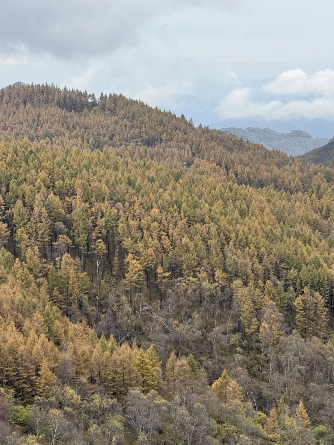 十月七日-特种兵奔向驼梁一日游