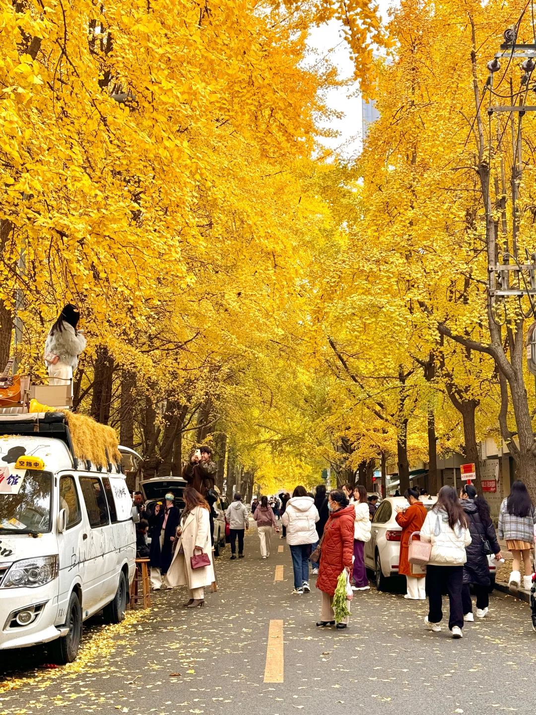 原来成都封神的秋景都是免费的。。。。附地址