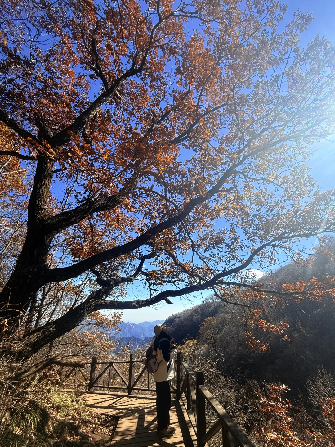 新手第一次爬五岳寨超全攻略|一定要保存好！