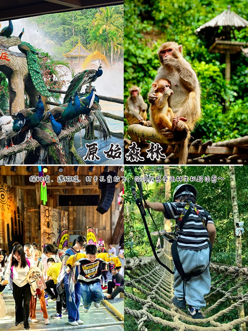 🔥强烈推荐！西双版纳亲子游轻松不费妈！