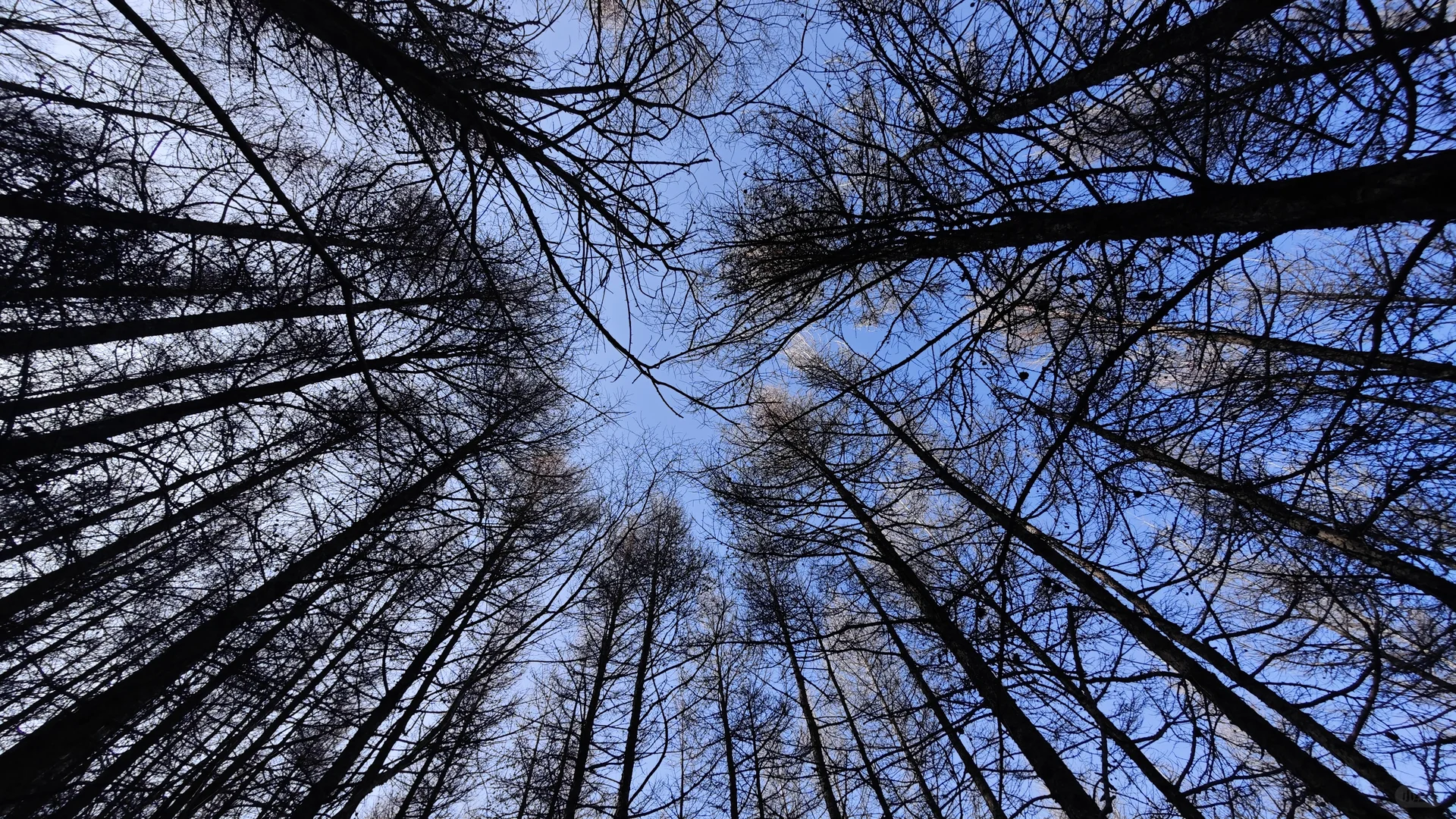 11月23日国际庄周边冬天好去处往这看😏