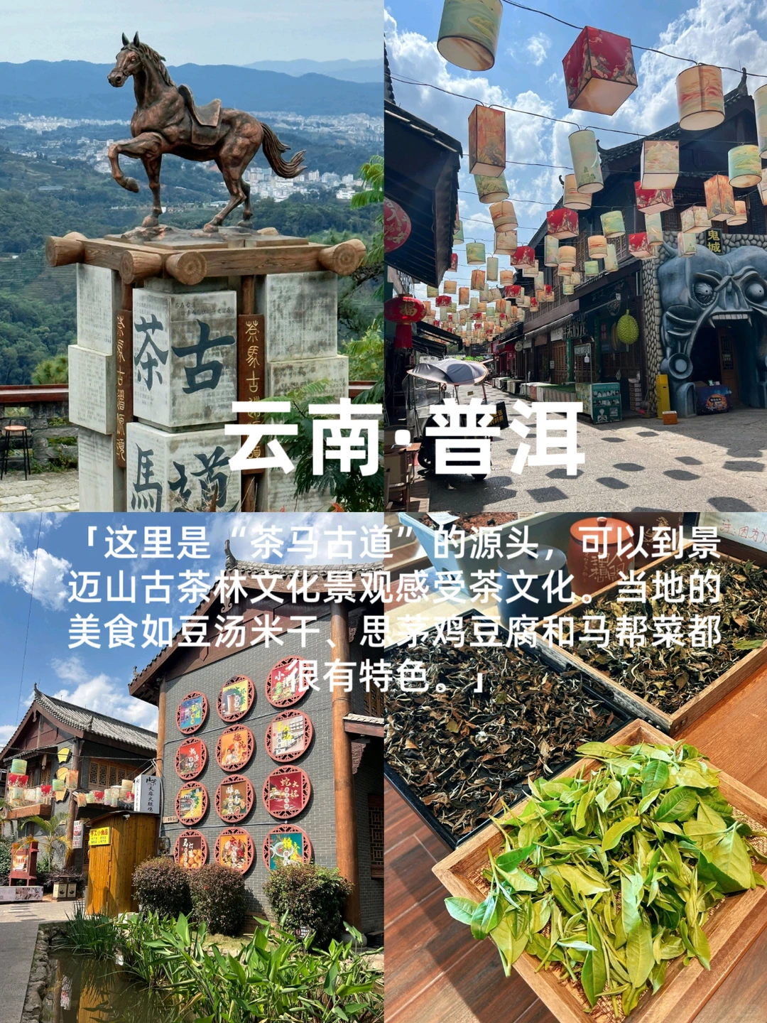 冬季反向旅游🌷🌷这些城市避寒简直绝了