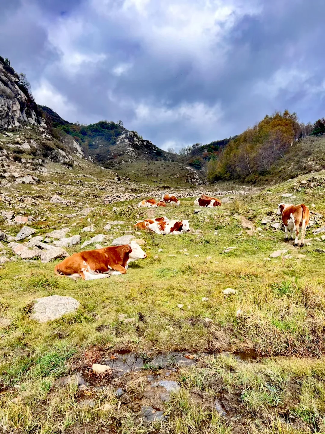 石家庄|没去新疆阿勒泰，被这里美哭了！