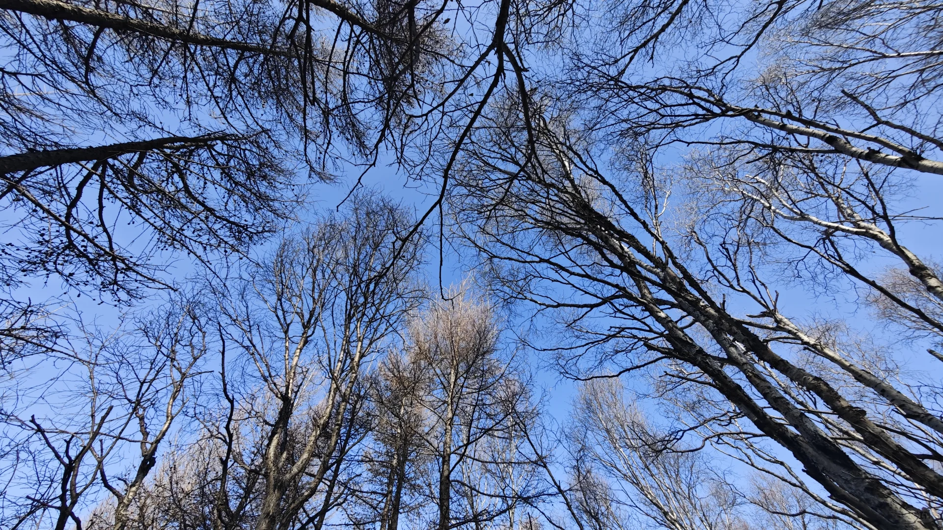 11月23日国际庄周边冬天好去处往这看😏