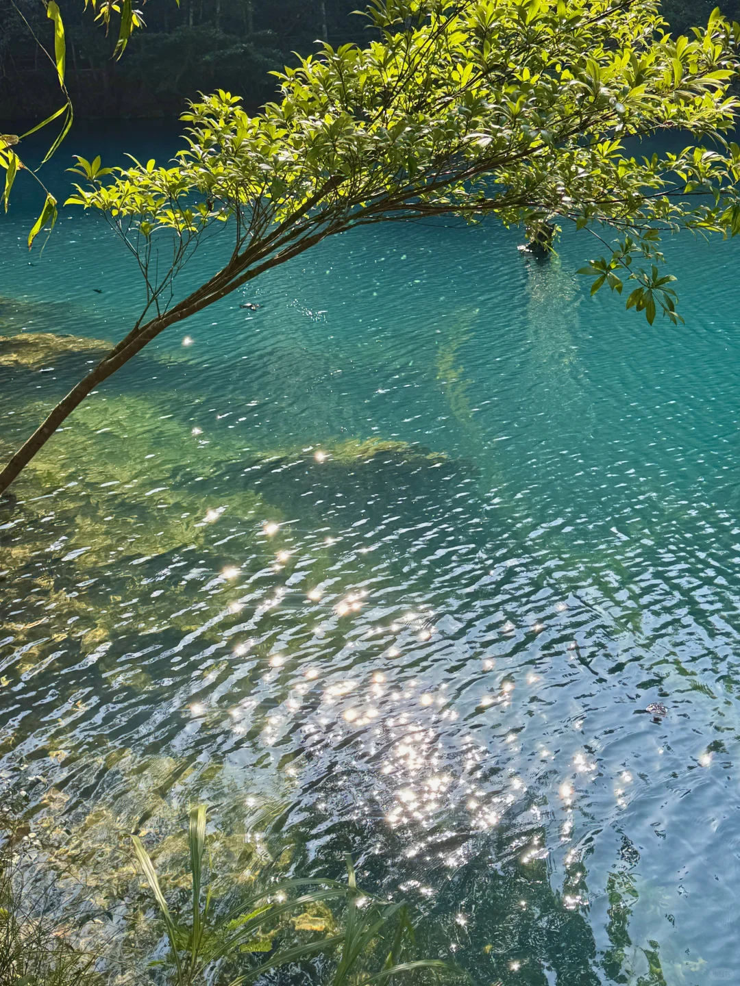 12.1实况！！淡季的小七孔简直人间理想！