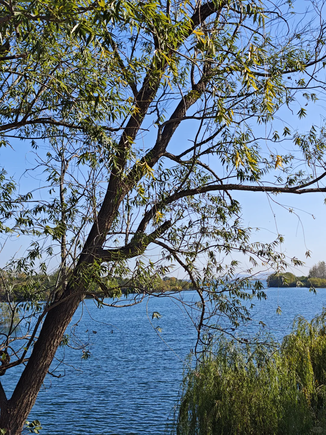 河北西柏坡值得去嘛