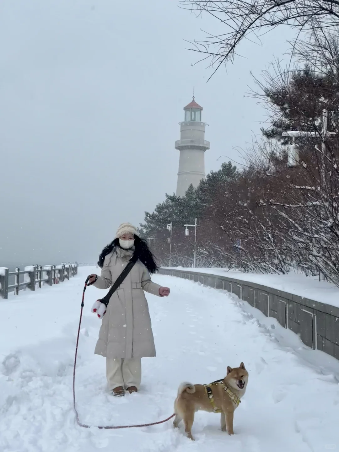 本J人对自己做的威海旅游攻略甚是满意🥰