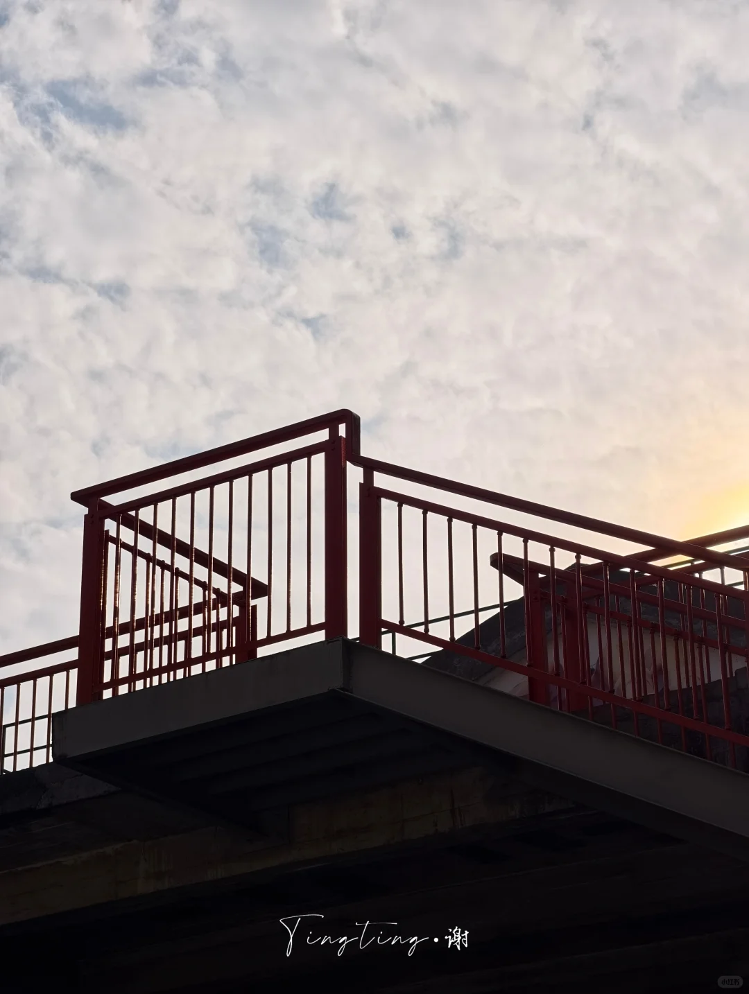 🌺花都开好了。