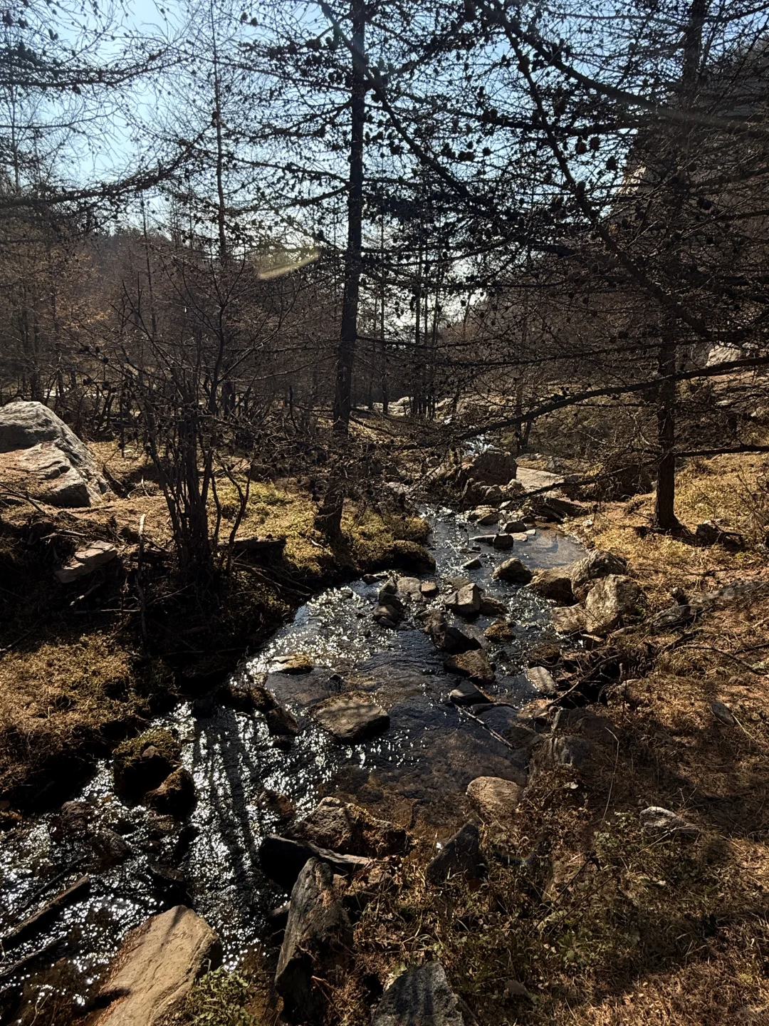 中台山村现状👨‍🦽‍➡️