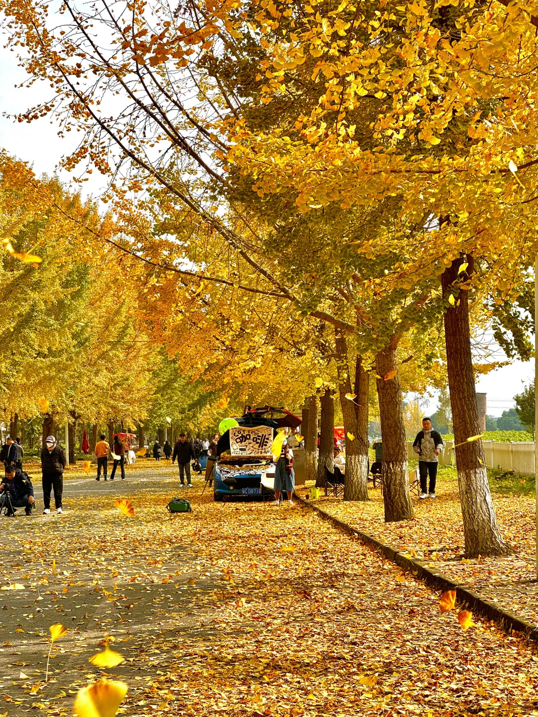 原来成都封神的秋景都是免费的。。。。附地址