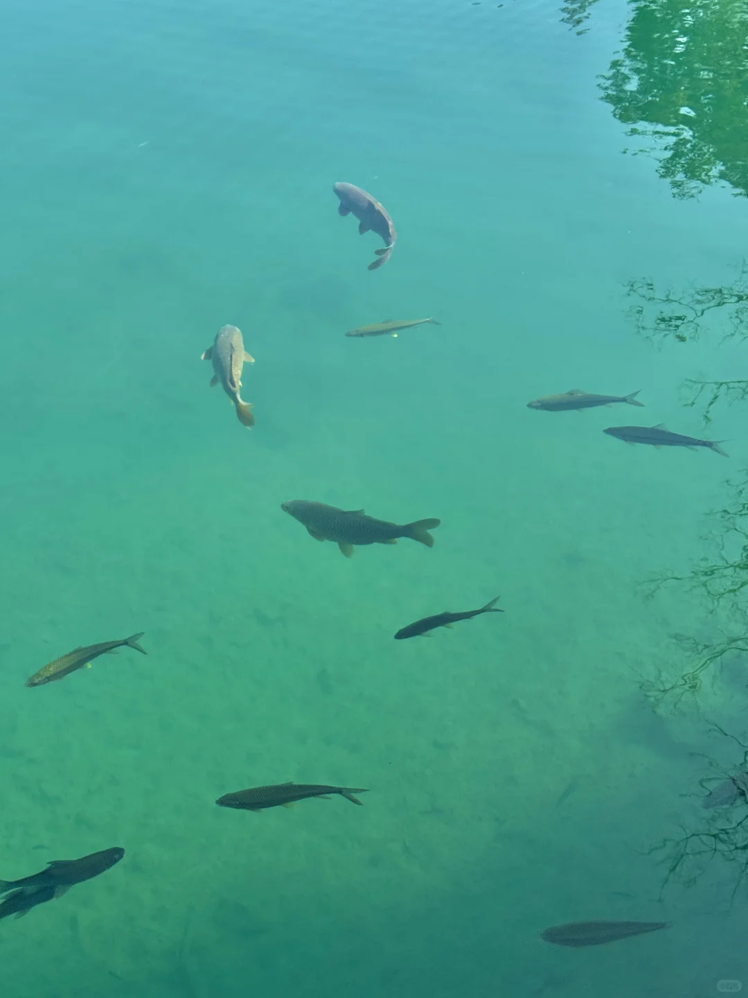 12.1实况！！淡季的小七孔简直人间理想！