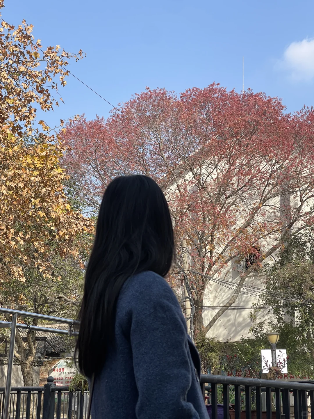 古镇偶遇金像奖得主 ｜ 你小子不适合做地板