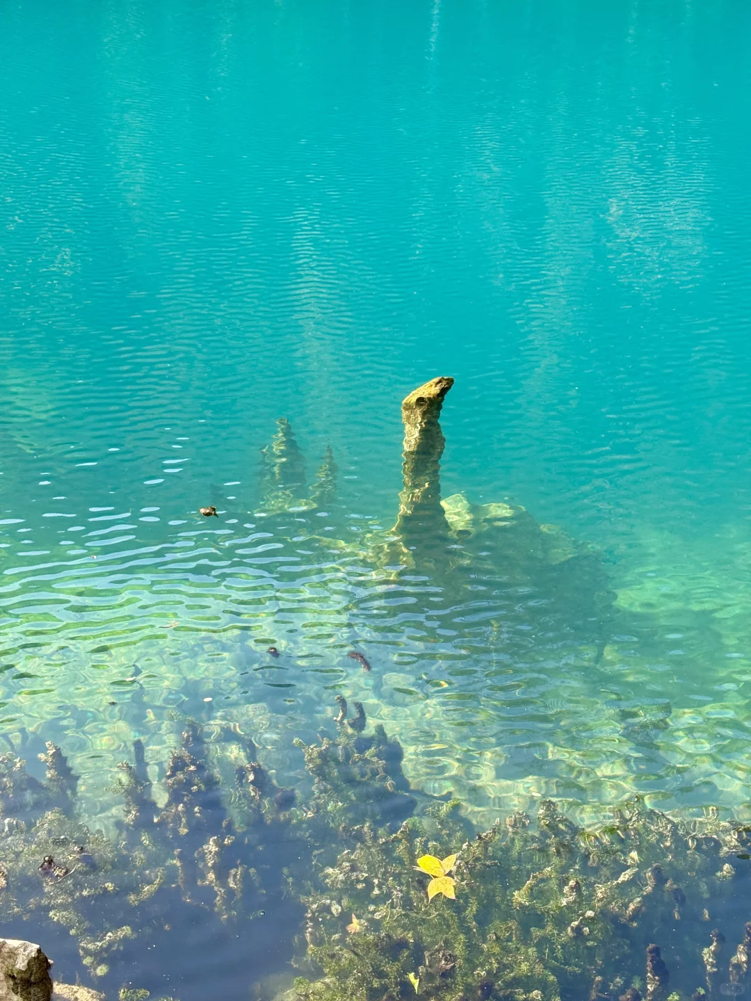 12.1实况！！淡季的小七孔简直人间理想！